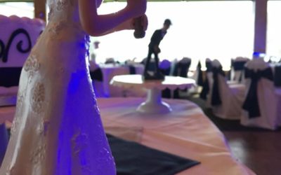 One-Week Anniversary: Mr. & Mrs. Werner