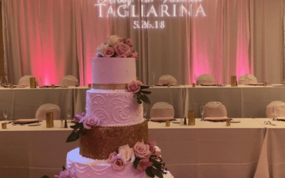 One-Week Anniversary: Mr. & Mrs. Tagliarina