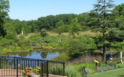 Cleveland Wedding Venue Spotlight: Holden Arboretum